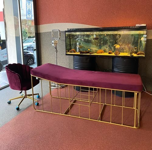 Gold Güzellik Salonu Sedyesi