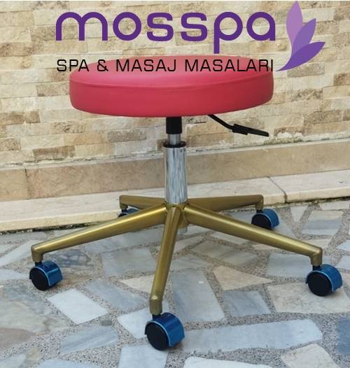 Amortisörlü Uzman Çalışma Taburesi