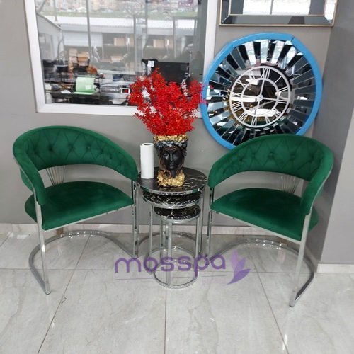 Krom Metal Güzellik Merkezi Koltuğu