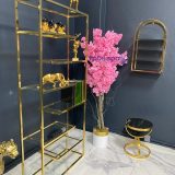 Güzellik Merkezi Gold Kaplama Cam Raf Kozmetik Malzeme Rafı